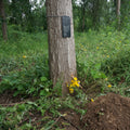 Pet memorial marker engraved with custom dog portrait and name