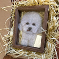 Custom pet memorial glass frame with warm LED light base at night