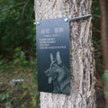Pet memorial marker installed in garden with flowers