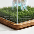 Cute Pet Workshop 3D hologram pet memorial — app pairing screen on a smartphone