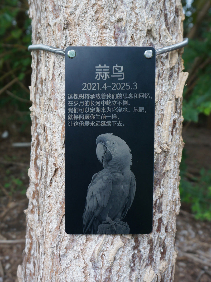 Custom pet tree burial memorial marker with engraved photo - main product view