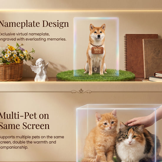 Cute Pet Workshop hologram memorial — process and detail (English)