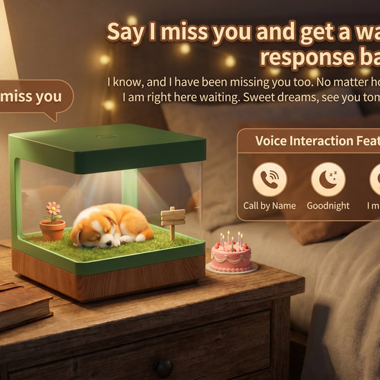 Cute Pet Workshop hologram memorial — process and detail (English)