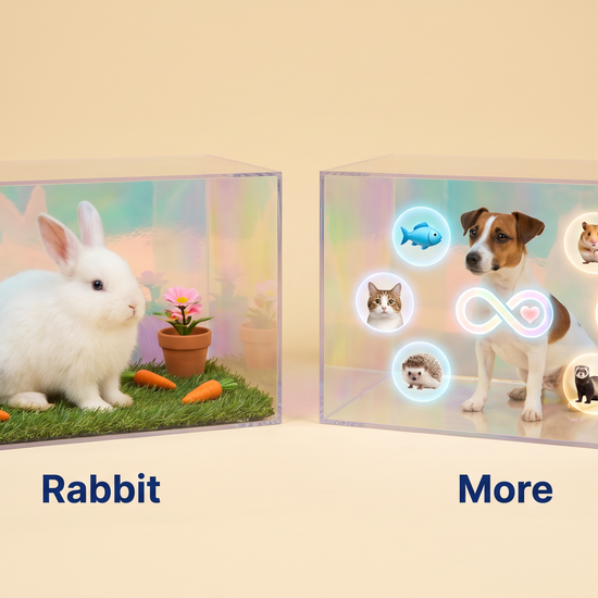 Cute Pet Workshop hologram memorial — process and detail (English)