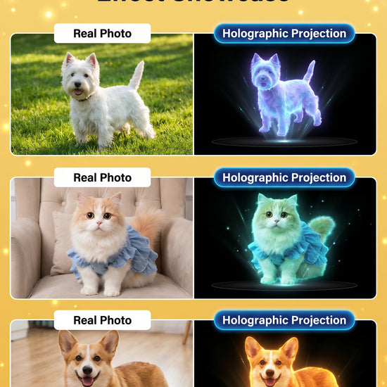 Cute Pet Workshop hologram memorial — process and detail (English)