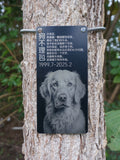 Tree burial memorial marker spring-mounted on tree trunk - no bark damage