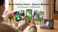 Cute Pet Workshop 3D hologram pet memorial — cat hologram appearing to sit on the grass scene