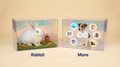 Cute Pet Workshop 3D hologram pet memorial — packed with grass mat and decorative sign inside the case